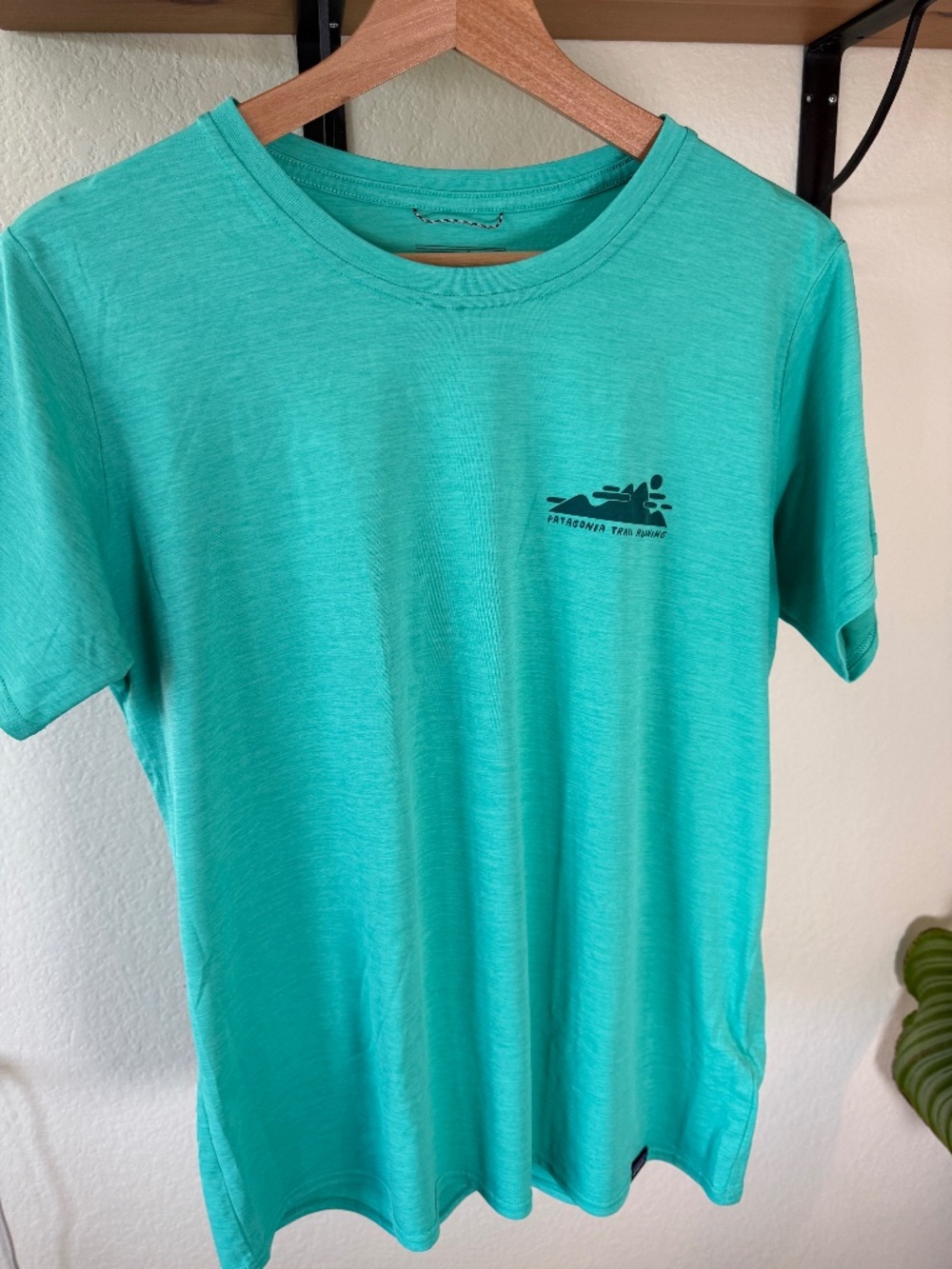 Patagonia men's teal crew neck short sleeve tee
